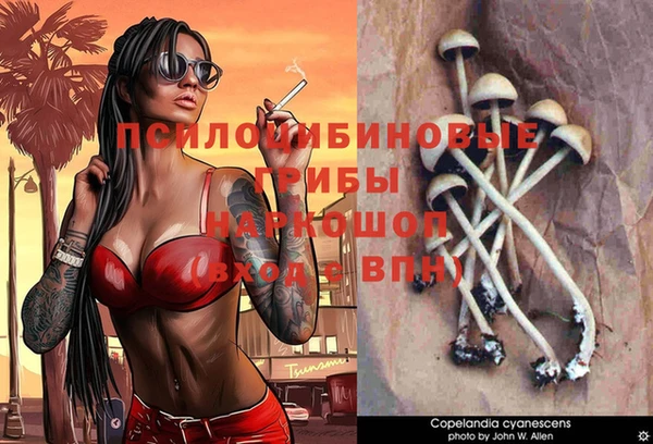 дурь Магадан