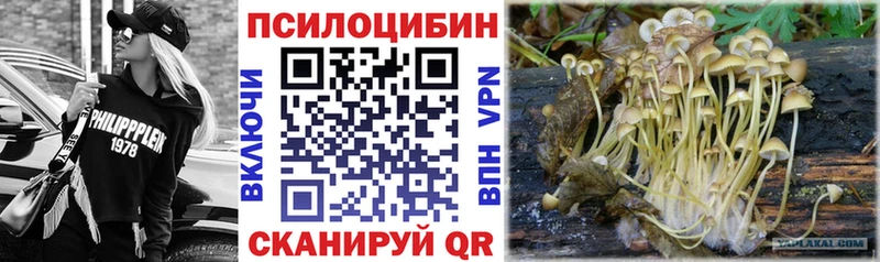 Галлюциногенные грибы ЛСД  Томари 